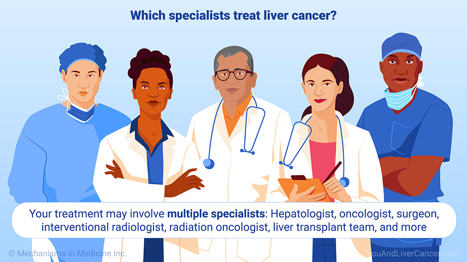 Which specialists treat liver cancer?