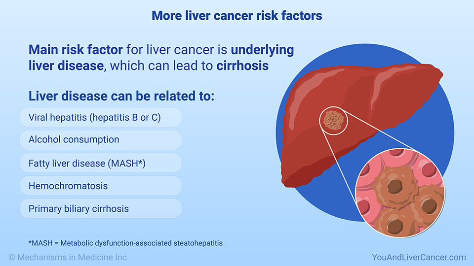 More liver cancer risk factors