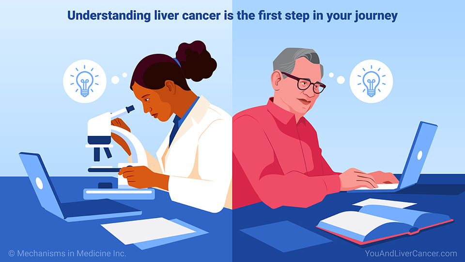 Understanding liver cancer is the first step in your journey