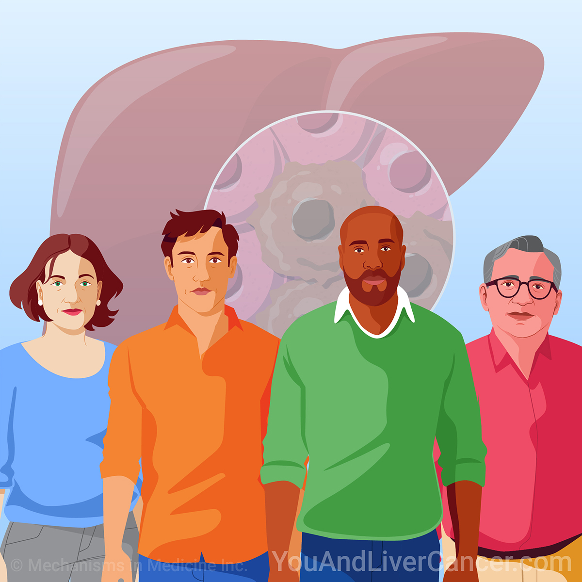 Learn about a variety of topics on liver cancer through short animations